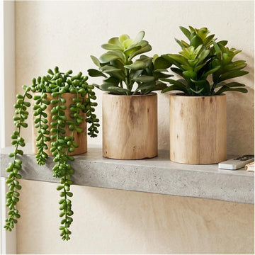 Artificial Succulents Plastic Artificial Green Plant Decor (Set of 3 Succlents in Wooden pots)