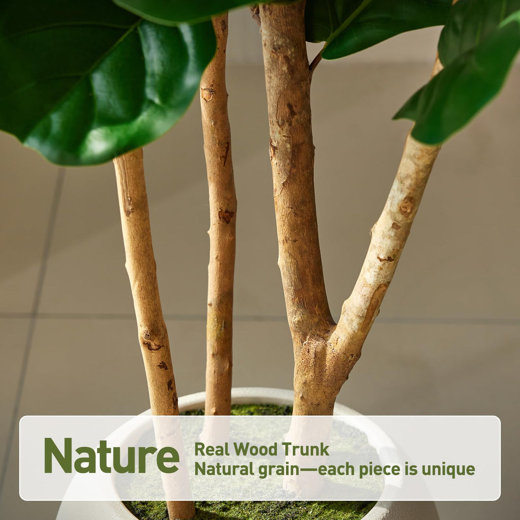 6ft Artificial Fiddle Fig Tree, 3 Real Wood Trunks