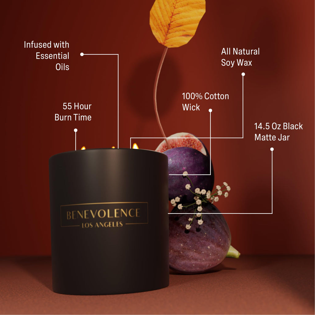 Premium Fig Tree Large 3-Wick Scented Candle - 45-Hour Burn - Luxury Natural Soy Candle - Aromatherapy & Room Decor