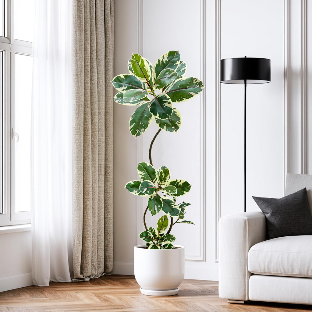 Artificial Variegated Rubber Tree 5.3FT