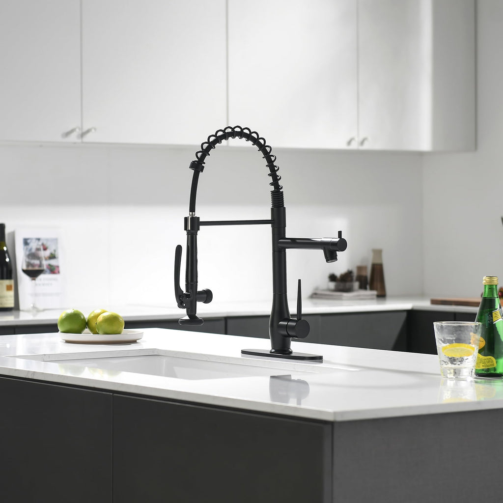 Matte Black Commercial Kitchen Sink Faucet with Pull Down Sprayer