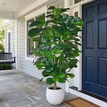 Artificial Fiddle Leaf Fig Tree 6FT(71in), Tall Fake Floor Plants with 150 Large Realistic Leaves in Plastic Pot