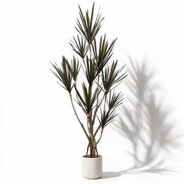 Dracaena marginata Artificial Plant 6.2ft, Faux Dragon Tree in Pot