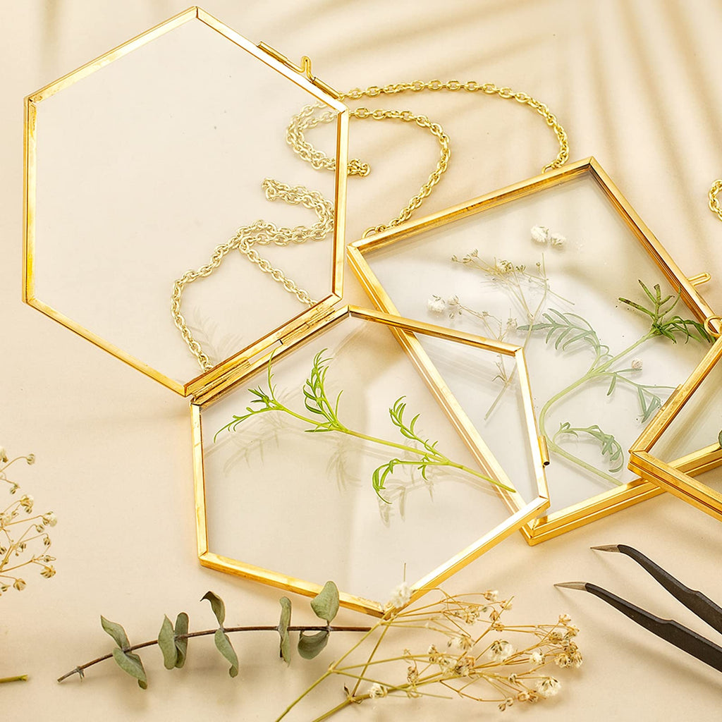3 Pcs Pressed Flower Frames with Tweezers, Wall Hanging Double Glass Frames with Metal Chain for Pressed Dried