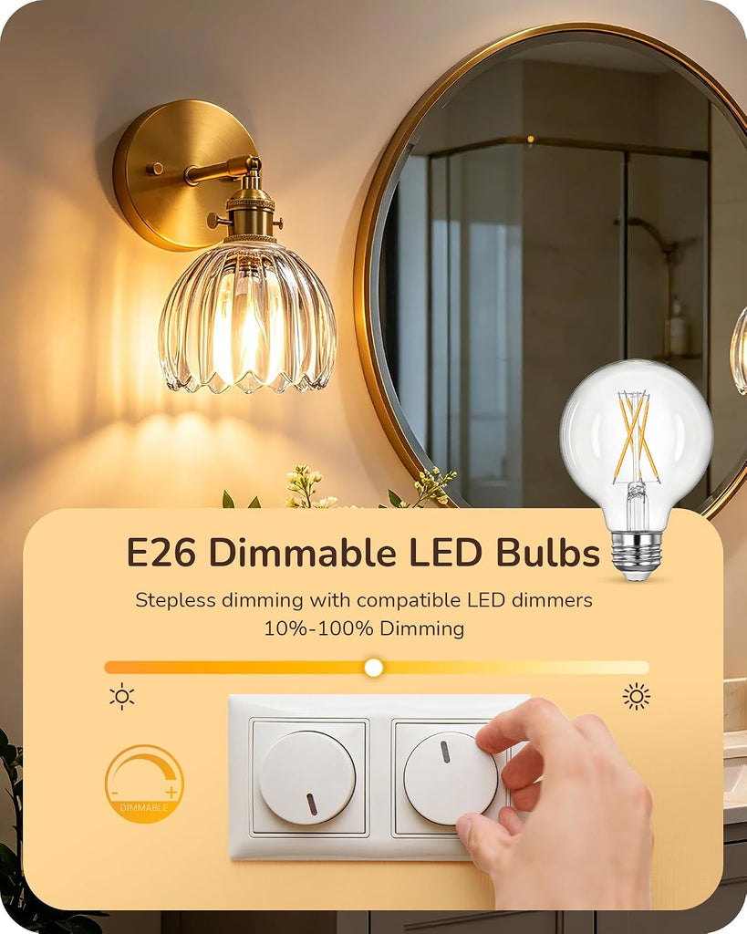 6 Pack G25 Globe Light Bulbs, Dimmable Vintage LED Edison Bulbs, CRI90+ 5W Equivalent 60W, Clear LED Filament Vanity