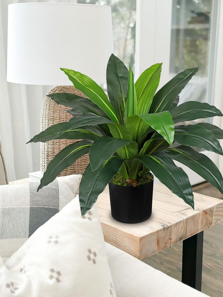 Faux Plants 17'' Dracaena Artificial Plants Indoor Yucca Fake Potted Plant with 19 Leaves Tropical Silk Plant Living