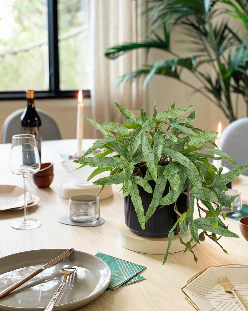 Faux Plants Indoor 9'' Artificial Potted House Plant with Black Ceramic Pot Fake Pteris Cretica Fern Plant Room Desk
