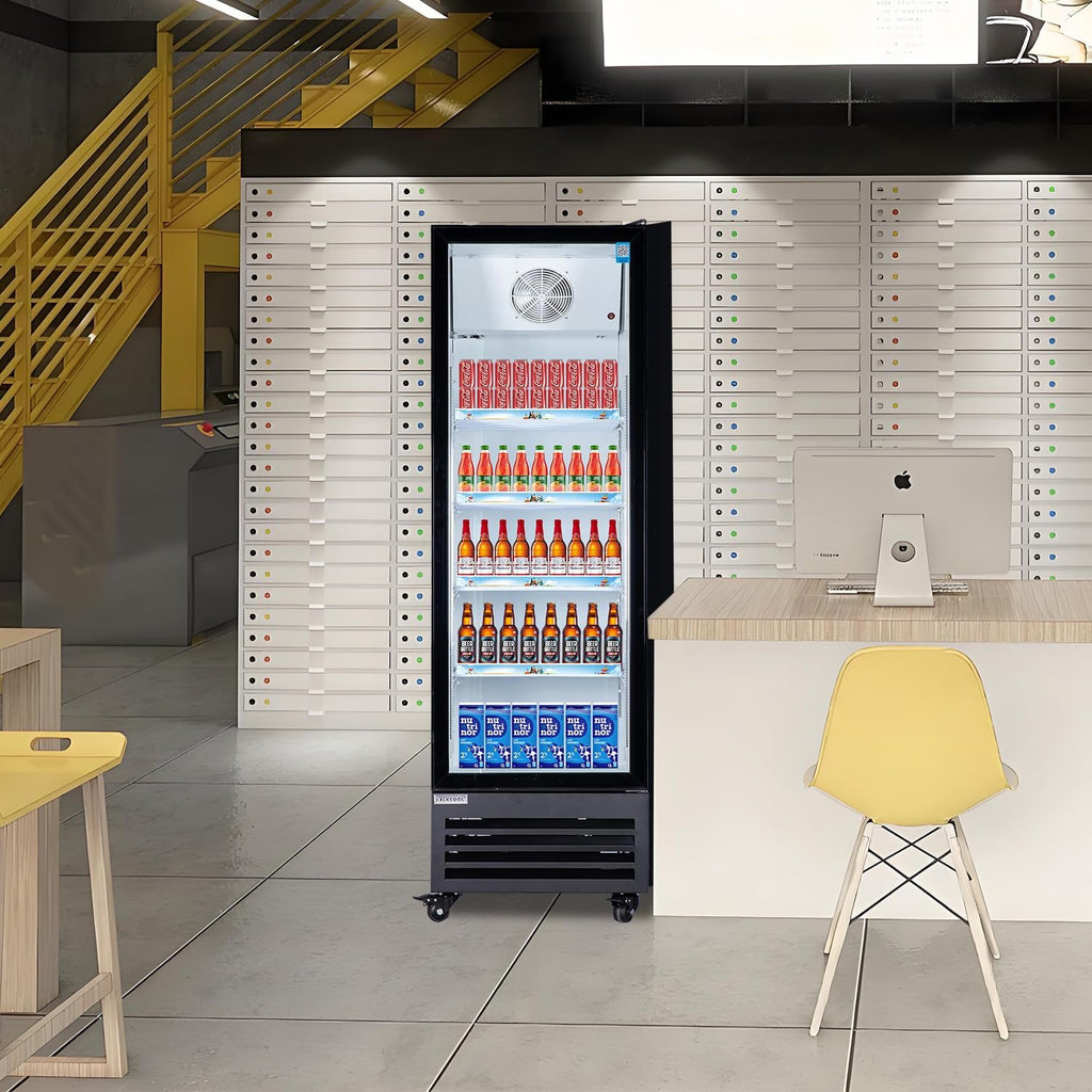 Commercial Beverage Refrigerator Display Fridge