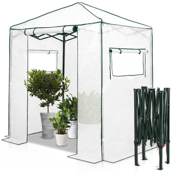 6x4 Easy Setup Small Pop Up Greenhouse, Clear/White