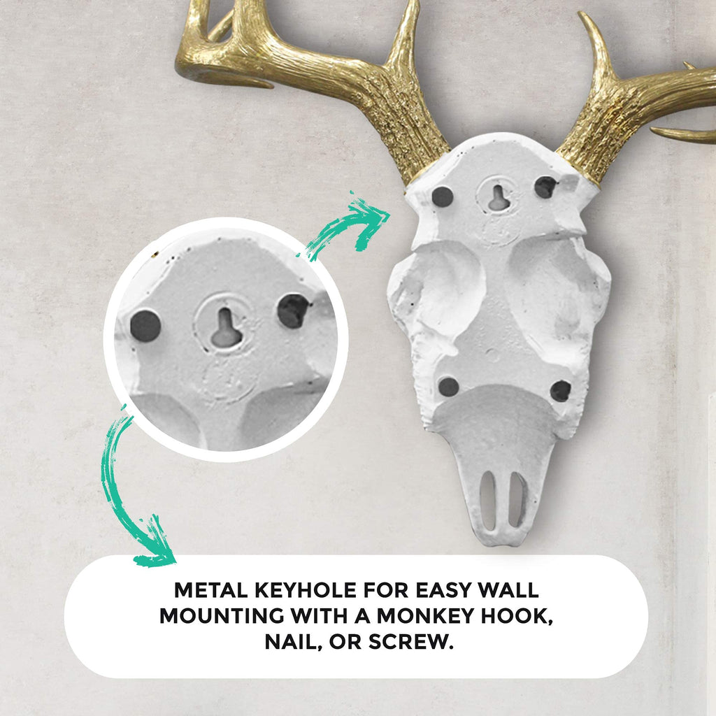 Faux Deer Skull Wall Decor, 16", White + Gold Antler