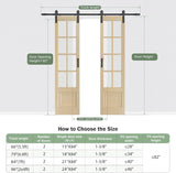 Preassembled 48x84 (Double 24x84) Inch Clear Glass French Interior Door with 8Ft Barn Door Hardware 