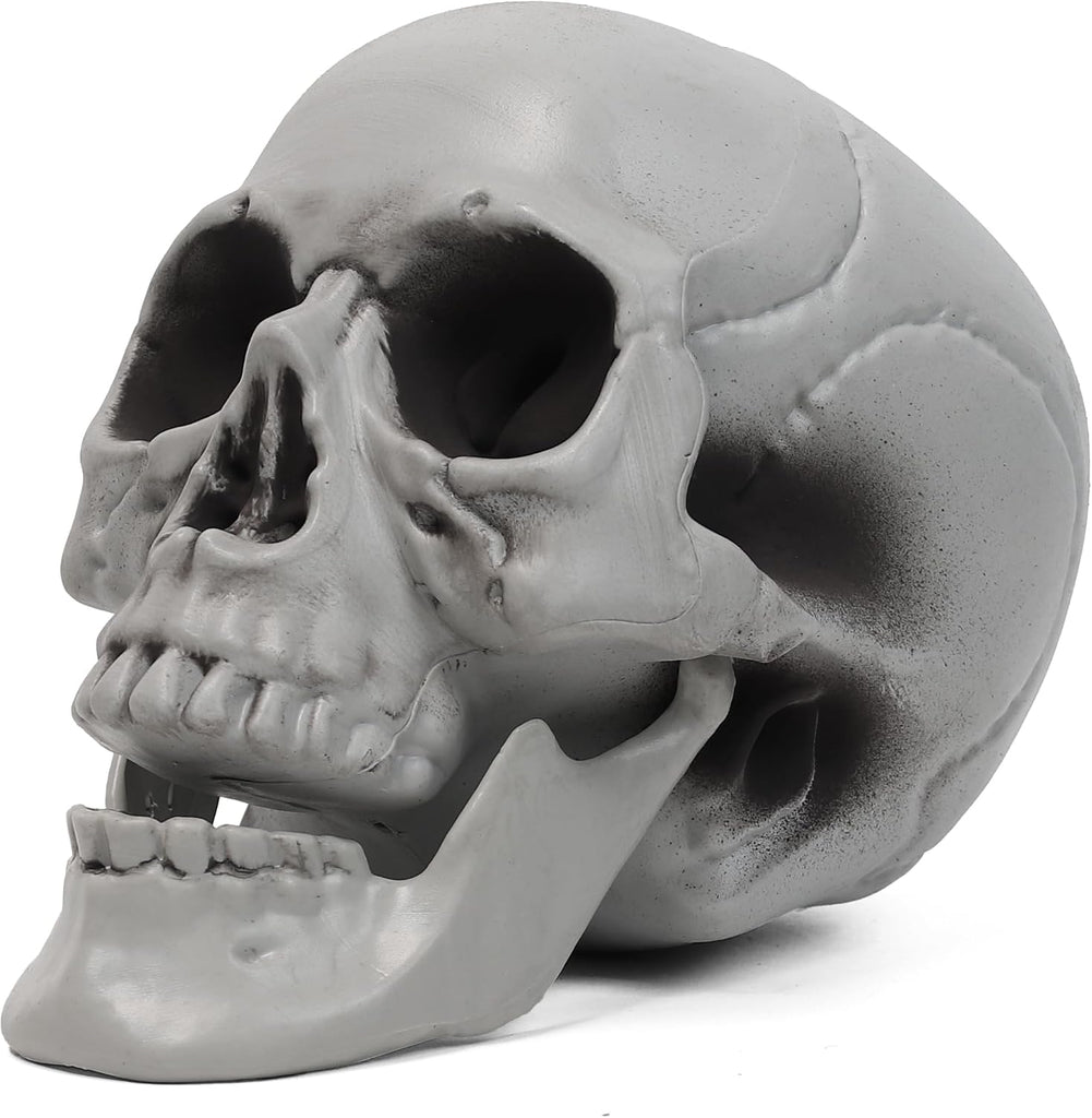 Life Size Skeleton Skull for Halloween Decor Graveyard Outdoor White
