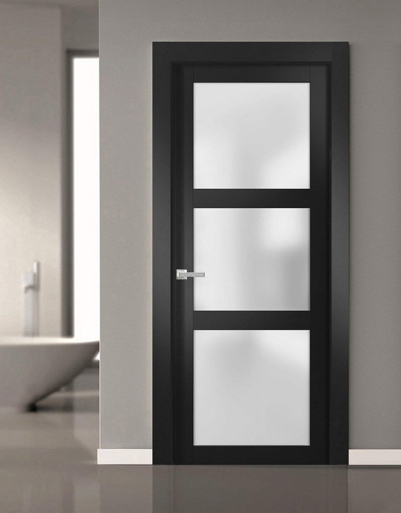 Solid French Door Frosted Glass 32 x 80 inches | Lucia 2552 Matte Black | Single Regular Panel Frame