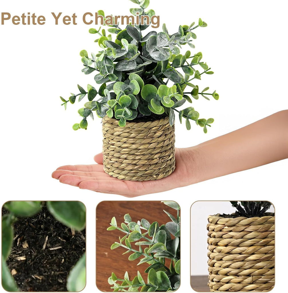 Small Fake Plants, 4 Pack Artificial Plants in Handwoven Seagrass Baskets | Natural Woven Texture, 4 Unique Plant