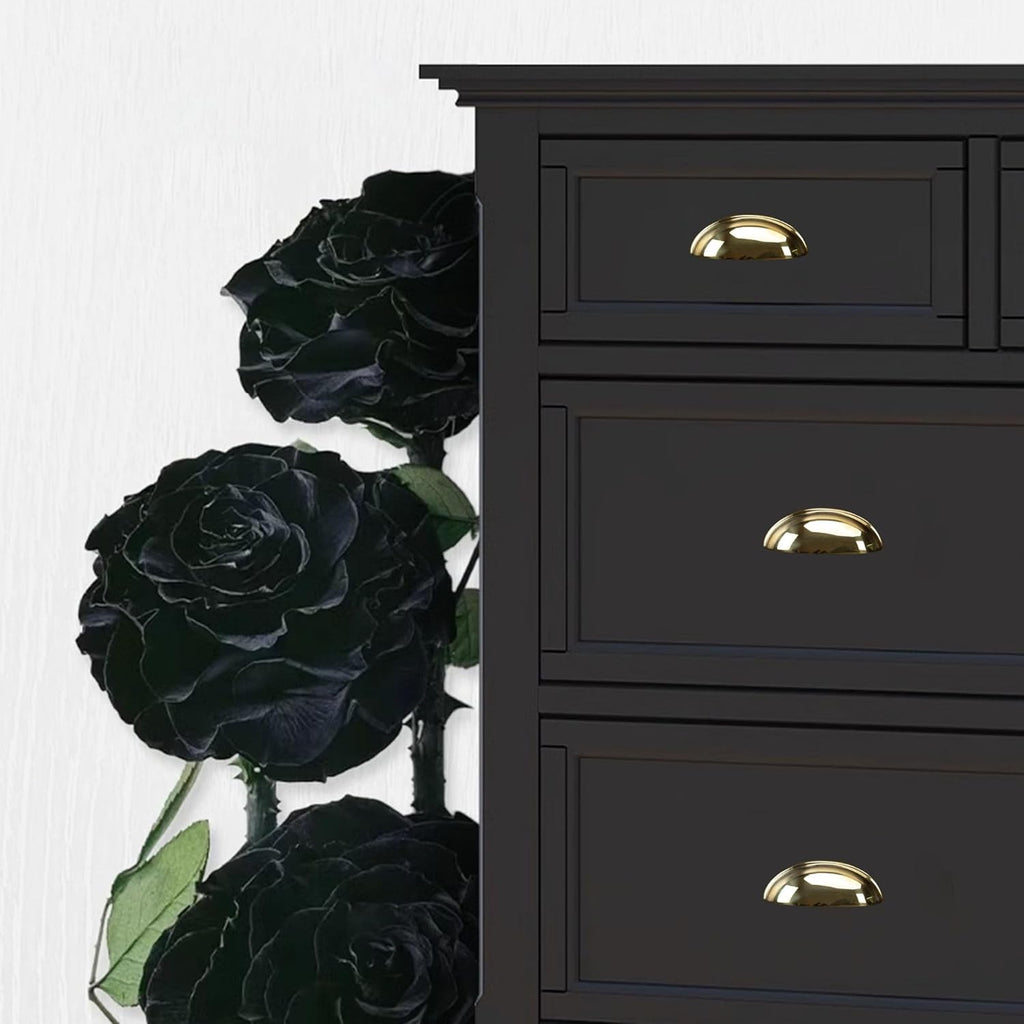 2-Pack Unlacquered Brass Cabinet Cup Pulls, Gold Bin Cup Drawer Dresser Handles, 3-Inch Hole Center, Kitchen Cupboard