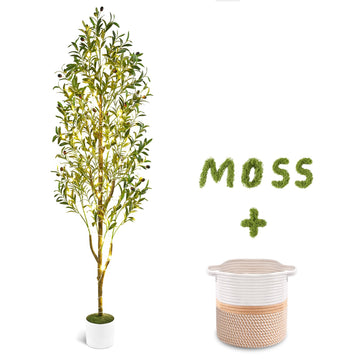 6FT Lighted Artificial Olive Tree with Planter & Basket