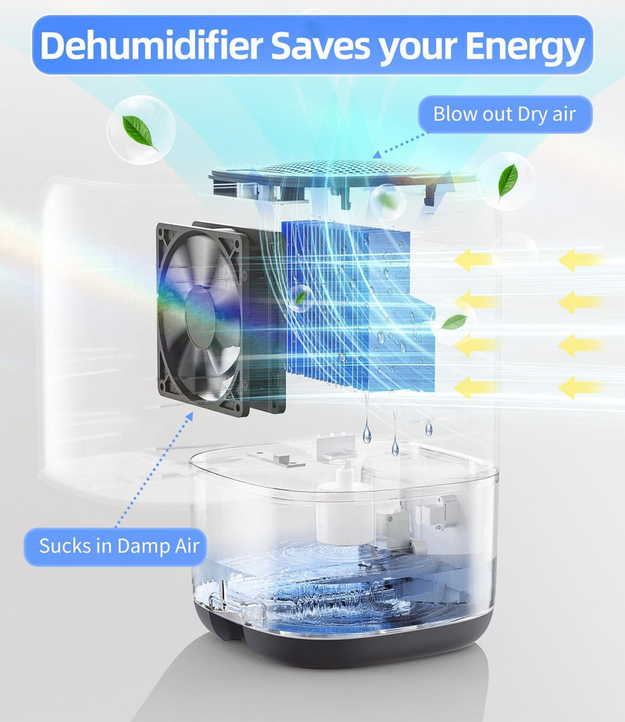 Dehumidifier, 35 OZ Small Dehumidifiers for Bedroom for Home, Quiet with Auto Shut Off