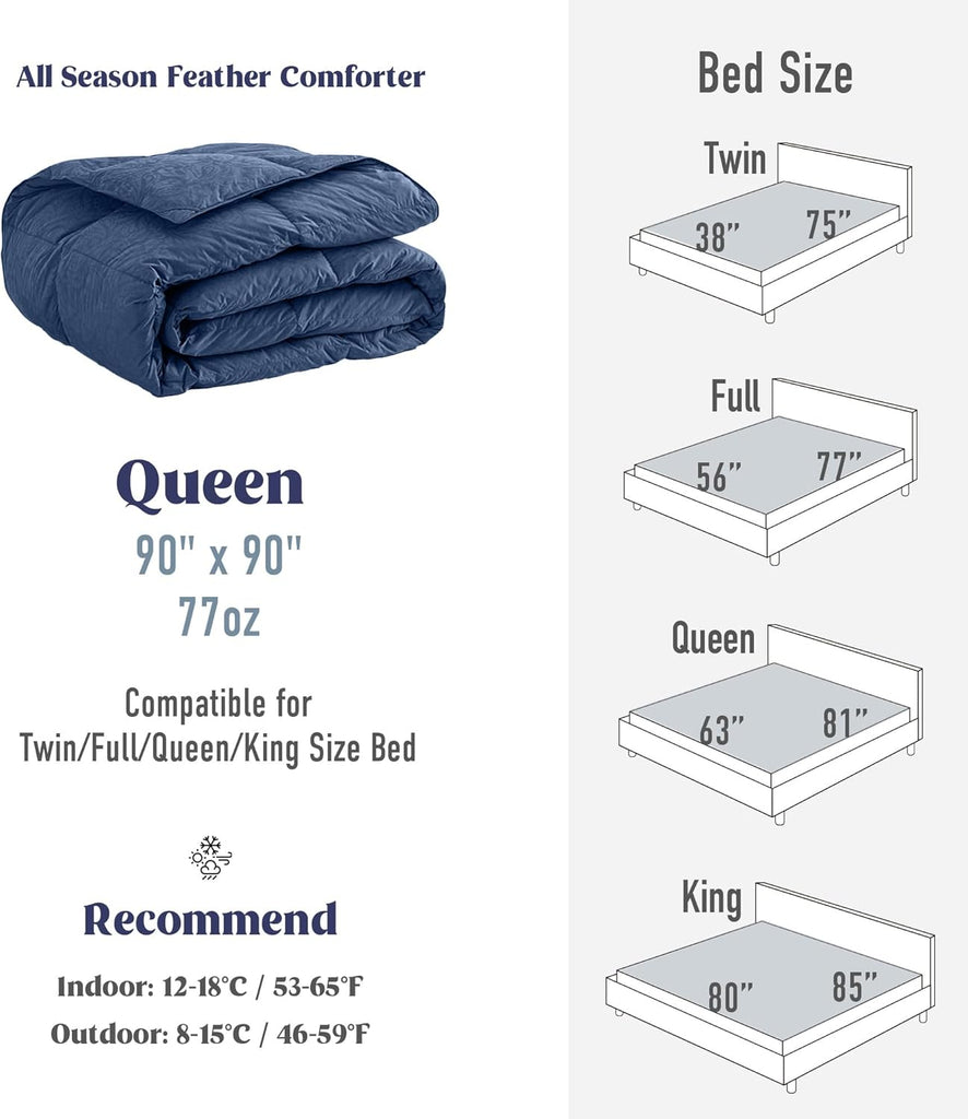 Goose Feather Down Comforter Queen, All Season Luxury Hotel Fluffy Duvet Insert