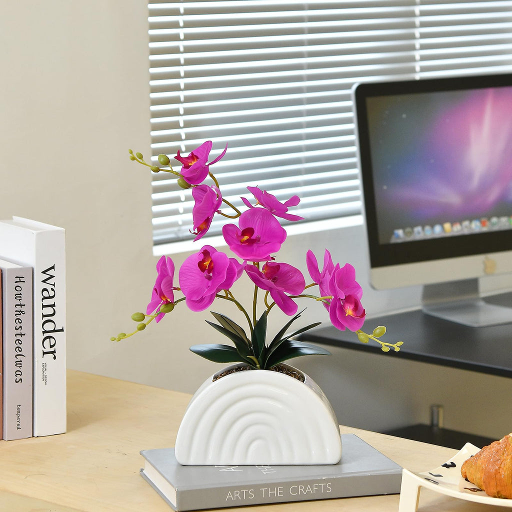 Fuchsia Silk Orchid Plant in White Rainbow Pot for Table Décor