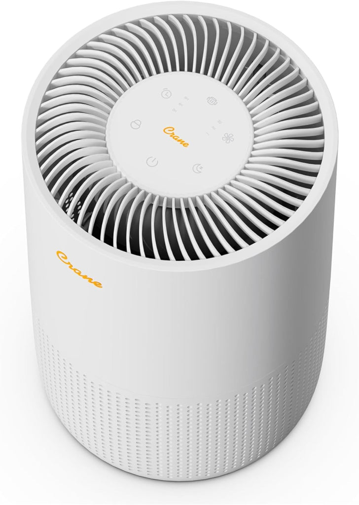 True HEPA Air Purifiers for Home, Up To 300 Sq Ft, Air Purifiers For Bedroom, and Office, Removes Du