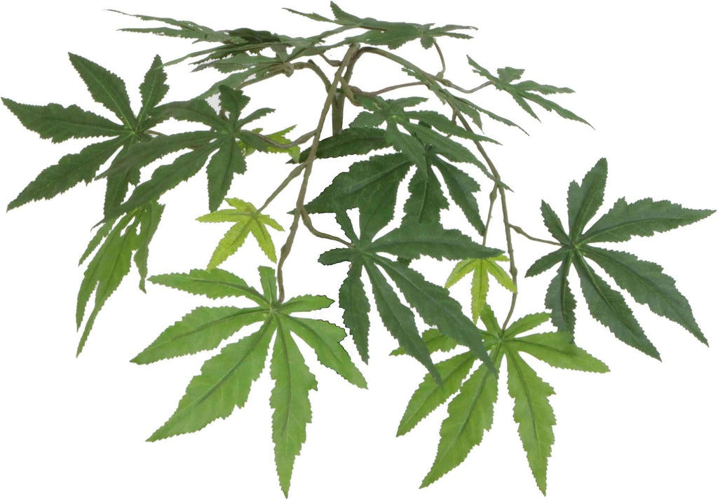 6' Artificial Japanese Maple Deluxe Tree, Gray Round Plastic Container.