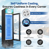 BODEGACOOLER Commercial Drink Fridge with Glass Door, Tall Beverage Cooler for B