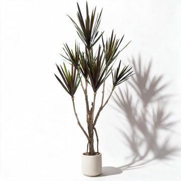 Dracaena marginata Artificial Plant 5.2ft, Faux Dragon Tree in Pot