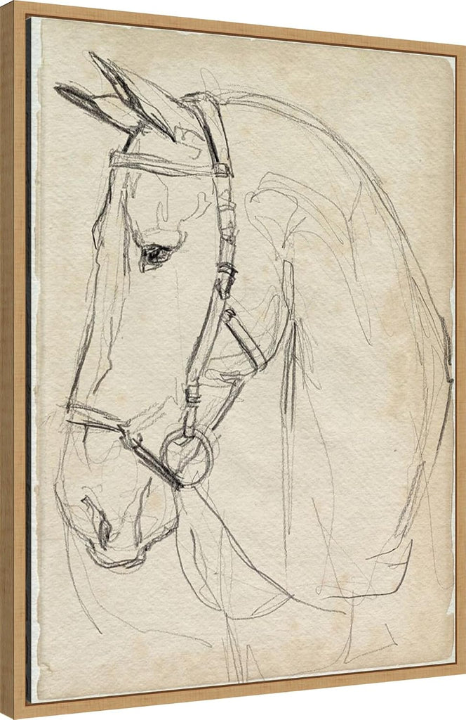 Framed Canvas Wall Art 30x23 Horse in Bridle Sketch II by Jennifer Paxton Parker, Framed Wall Art Canvas, Animals