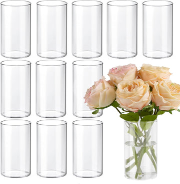 12pcs Glass Cylinder Vases for Centerpieces, 6 Inch Clear Flower Vases for Wedding Decorations and Indoor Home Decor