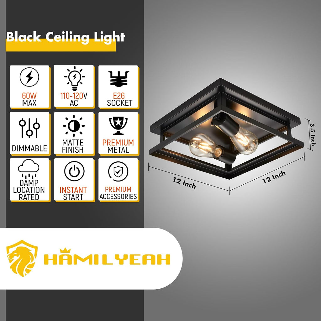 Farmhouse Flush Mount Ceiling Light Fixture 2 Light, Hallway Ceiling Light Black, Kitchen Light Fixture Ceiling Mount