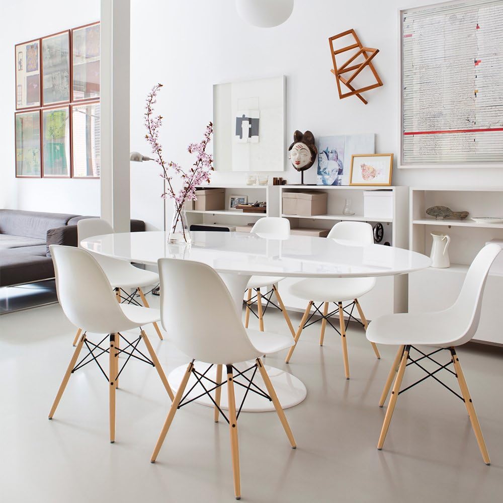 Modern Style Dining Chair Mid Century Modern DSW Chair, Shell Lounge Plastic Chair for Kitchen, Dining, Bedroom
