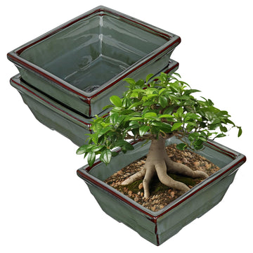 Set of 2 Large Bonsai Pots with with Drainage Hole, 10" Green