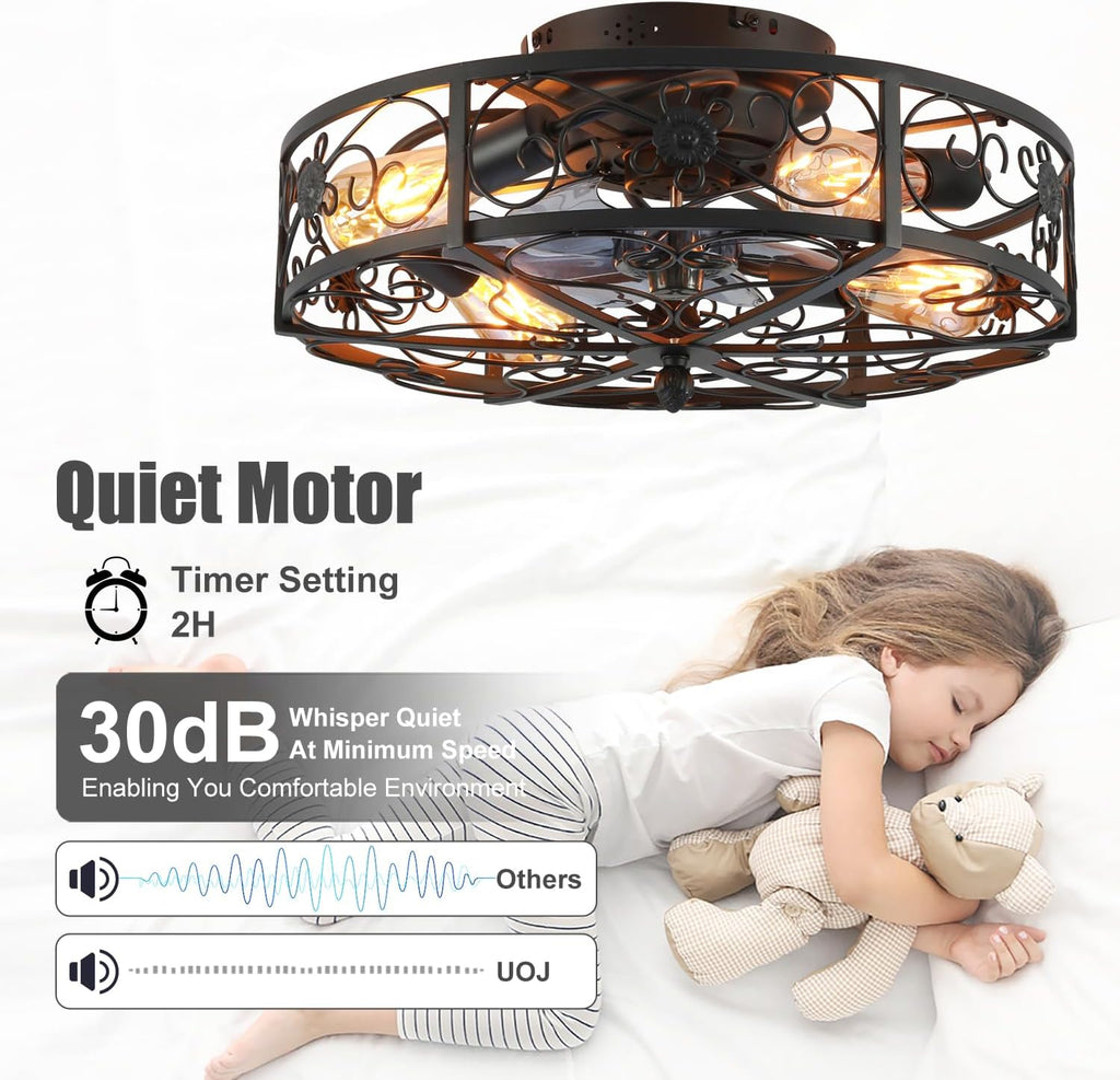 20'' Caged Ceiling Fan with Lights and Remote Control,Small Farmhouse Bladeless Low Profile Ceiling Fans Lights
