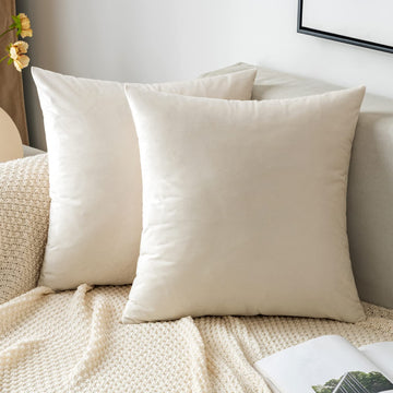 Pack of 2 Velvet Throw Pillow Covers Decorative Square Pillowcase Soft Solid Cushion Case for Sofa Bedroom Chair Car