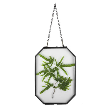 Octagon Double Glass Floating Frame for Pressed Dried Flowers, Photoes Poster - Wall Hanging Brass Herbarium, Black