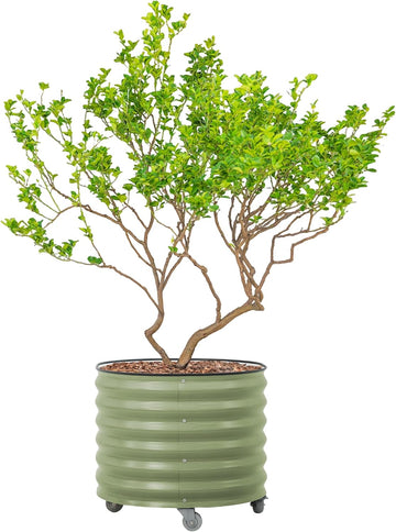 Rolling Metal Citrus Tree Planter Pot, 27′′ Round Planter Box for Porch Patio & Backyard, 45 Gallon Large Planter Pot