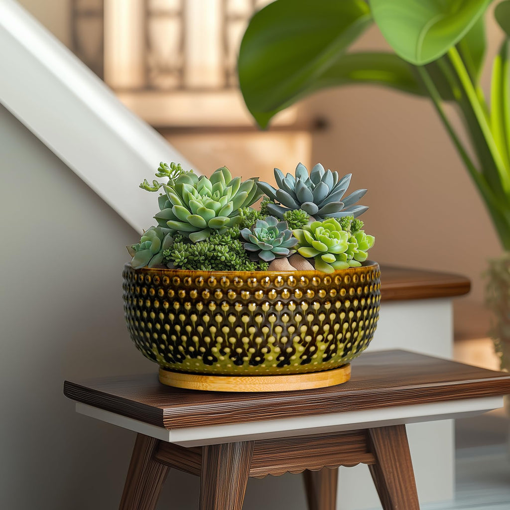 Bonsai Pots 8 Inch - Ceramic Planter for Indoor Plants, Succulent Pots with Drainage Hole and Plant Tray, Modern
