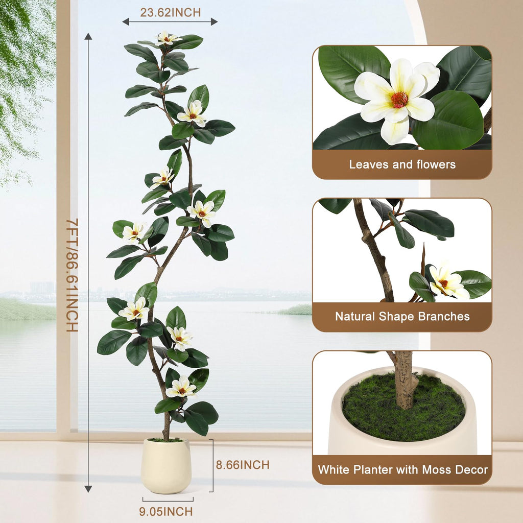 Rubber Tree 7 ft Artificial Tree in White Planter Pot, Indoor