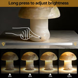 Natural Dolomite Marble Mushroom Lamp,Natural Gemstone Table Lamp Unique Crystal Veins Three-Color Temperature