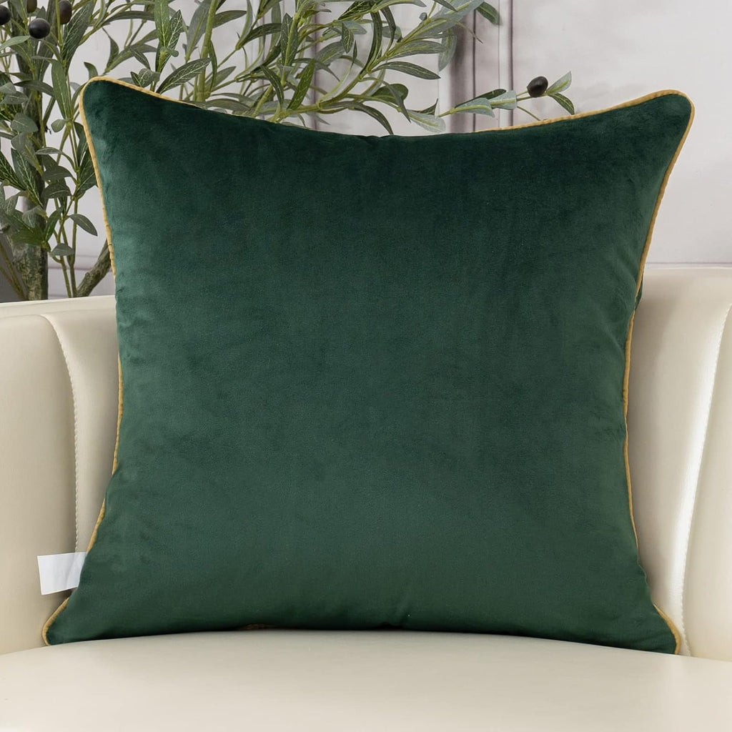 European Luxury Velvet Throw Pillow Cover 18 x 18 Inch, Embroidery Floral Pillow Cover Home Decor Pillowcase, Dark