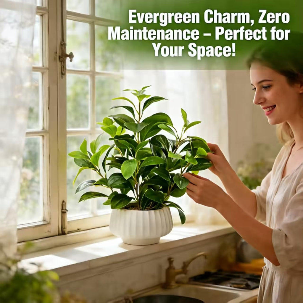 Artificial Peperomia Plants 16.5" Tall Lifelike Faux Greenery in 6" White Ribbed Ceramic Planter Realistic Indoor