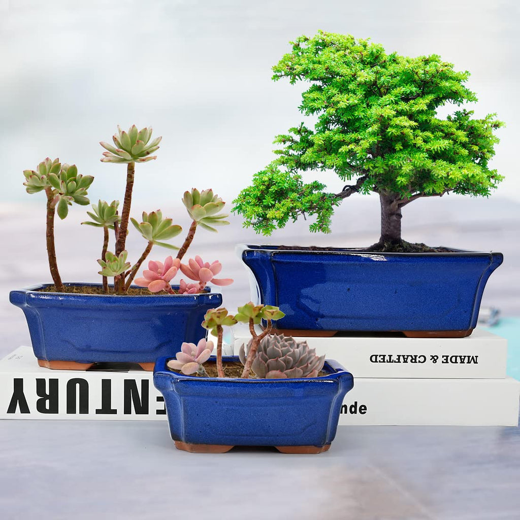 3 Pack Ceramic Rectangular Bonsai Tree Planter Pot Set 6"+7"+9", Cactus Succulent Planter Blue Glazed with Mesh Hole