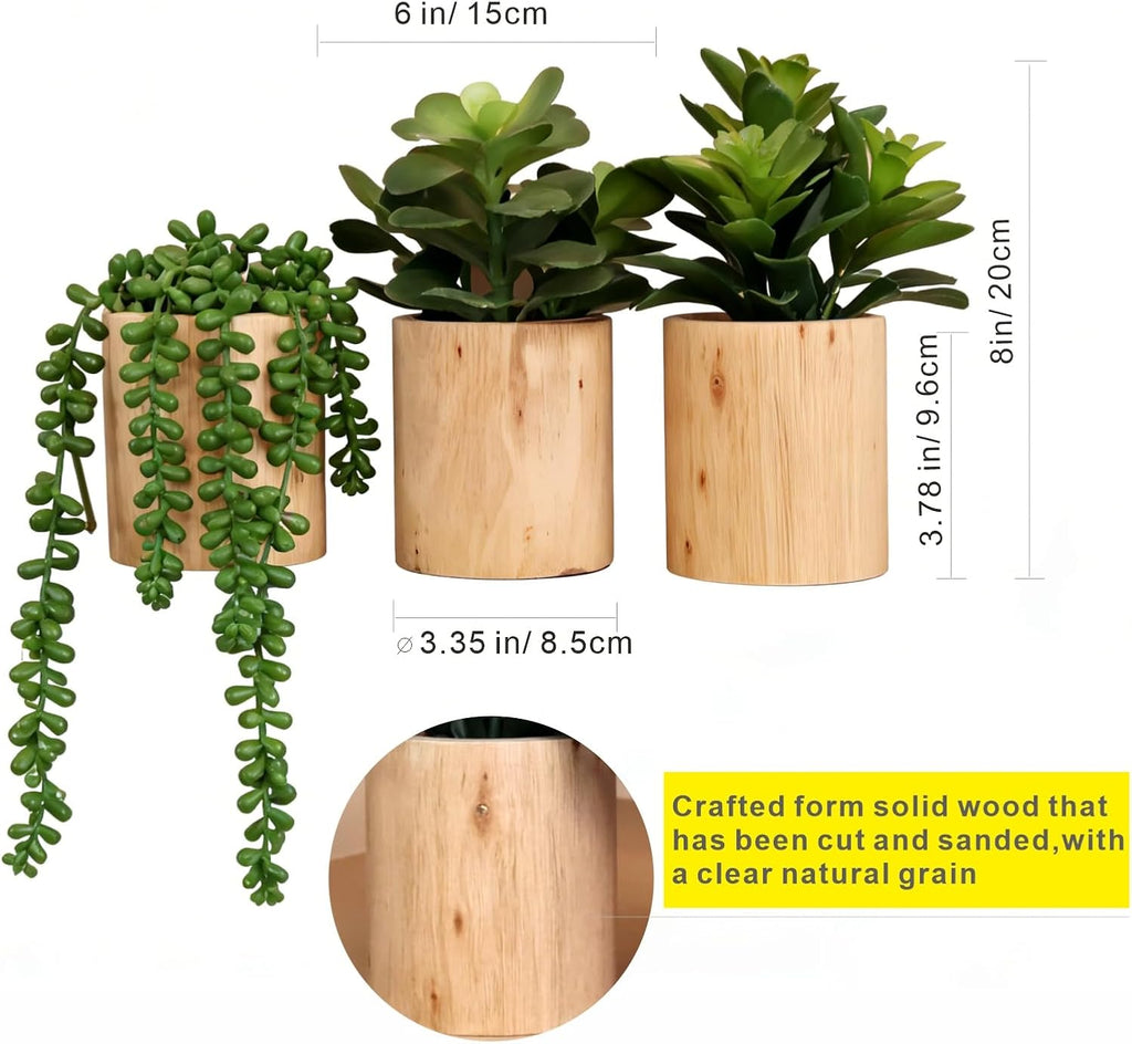 Artificial Succulents Plastic Artificial Green Plant Decor (Set of 3 Succlents in Wooden pots)