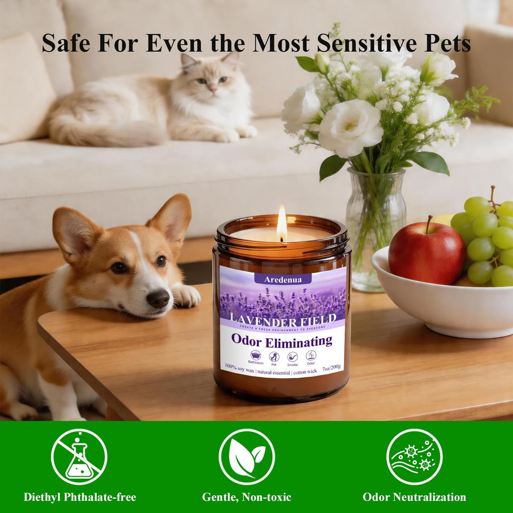 Odor Eliminating Candles, 7 oz Soy Scented Candle