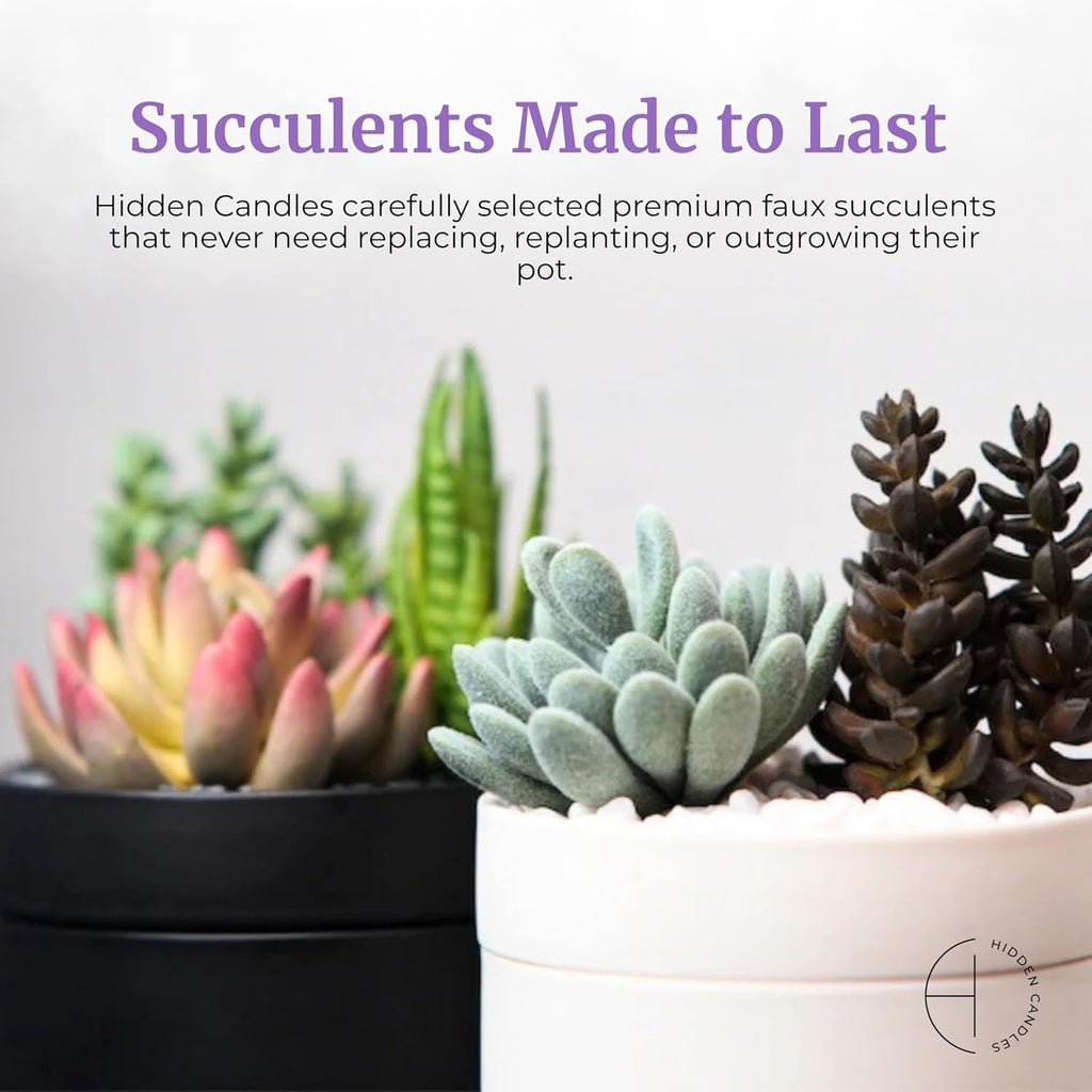 Hidden Candle - Cozy Tiny Home | Vanilla, Lavender & Eucalyptus Scented Candle with Faux Succulent | 10.6oz Soy Wax - Set of 106