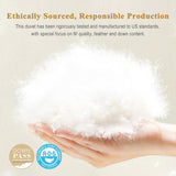 Feather Down Comforter Queen, Luxury Extra-Fluffy Duvet Insert
