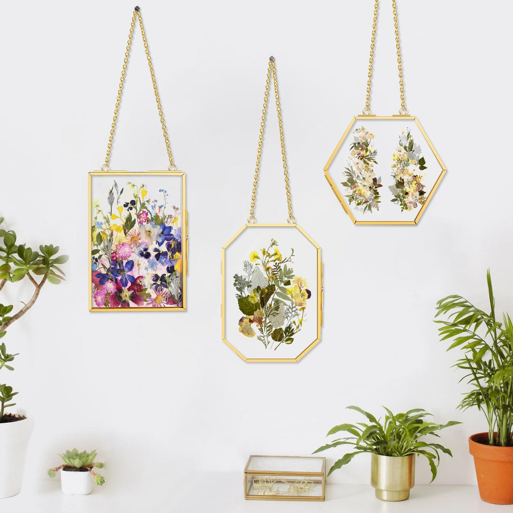 3 Pcs Pressed Flower Frames with Tweezers, Wall Hanging Double Glass Frames with Metal Chain for Pressed Dried