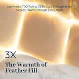 Goose Down Fiber Comforter King - All-Season Hotel Quality Duvet Insert, High Fill Power, Ultra Soft