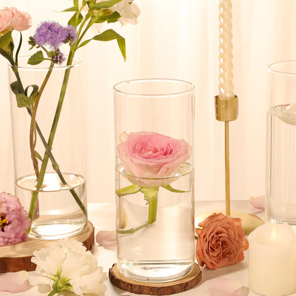 12pcs 8 Inch Clear Glass Cylinder Vases for Centerpieces