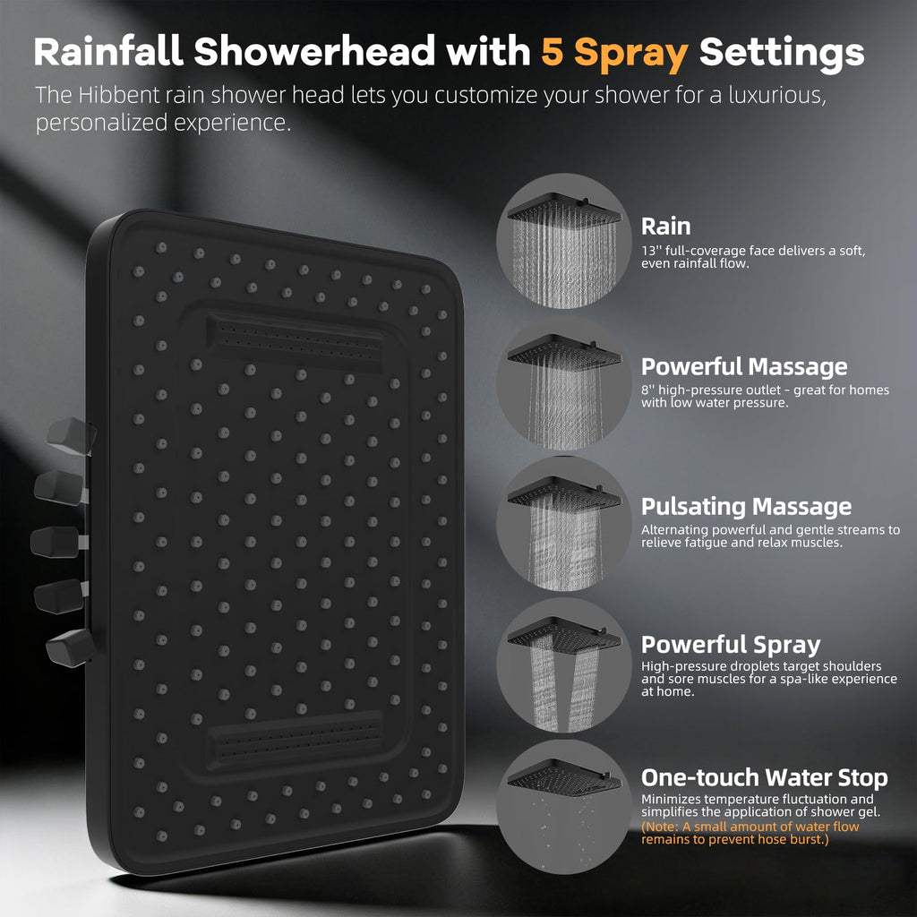 13" Filtered Shower Head & Filtered 10-Mode Handheld Combo, Black